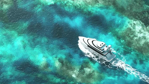 Day Cruiser 12 Freedom